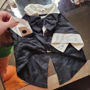 Adorable small dog tuxedo with tails